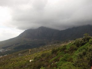 DSCF4311