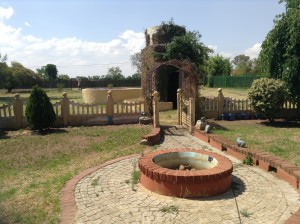 IMG_0145 (2)