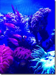 IMG_3535
