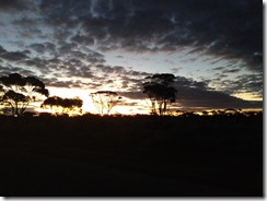 IMG_3776 - Copy