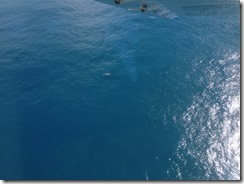 IMG_4587 - Copy (2)