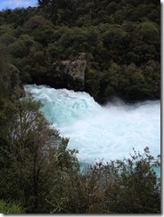 IMG_5387
