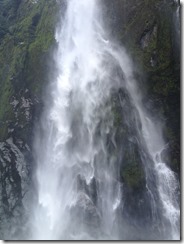 IMG_6049