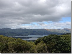 IMG_6496